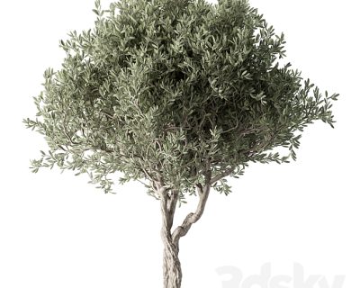 مدل سه بعدی گل و گلدان