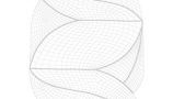5785134.65326fa74d0c5 5785134.65326fa74d0c5